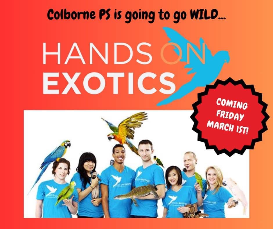 ColborneSchool's tweet image. We’re bringing the wild to us!!  #FridayFunday!