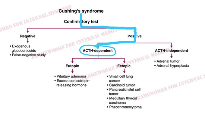 5/8 We have now confirmed the diagnosis of Cushing's syndrome. The next question is, is it ACTH-dependent or ACTH-independent? A plasma ACTH level is necessary to make this determination. Plasma ACTH level is 496 pg/mL (normal <50).