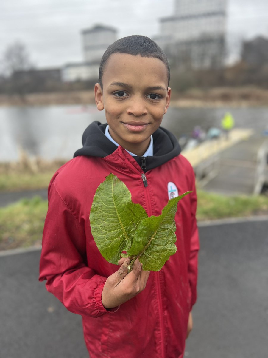 StCharlesGla's tweet photo. Primary 7 were completing another activity from our #OutdoorLearningFramework this afternoon @ClaypitsLnr. They were trying to answer the question ‘When is a weed not a weed?’ They children used prior knowledge to help them decide and then used to @PictureThisAI app to confirm their decision. #BiodiversityAndInterdependence #OutdoorLearning #OurCityIsAClassroom