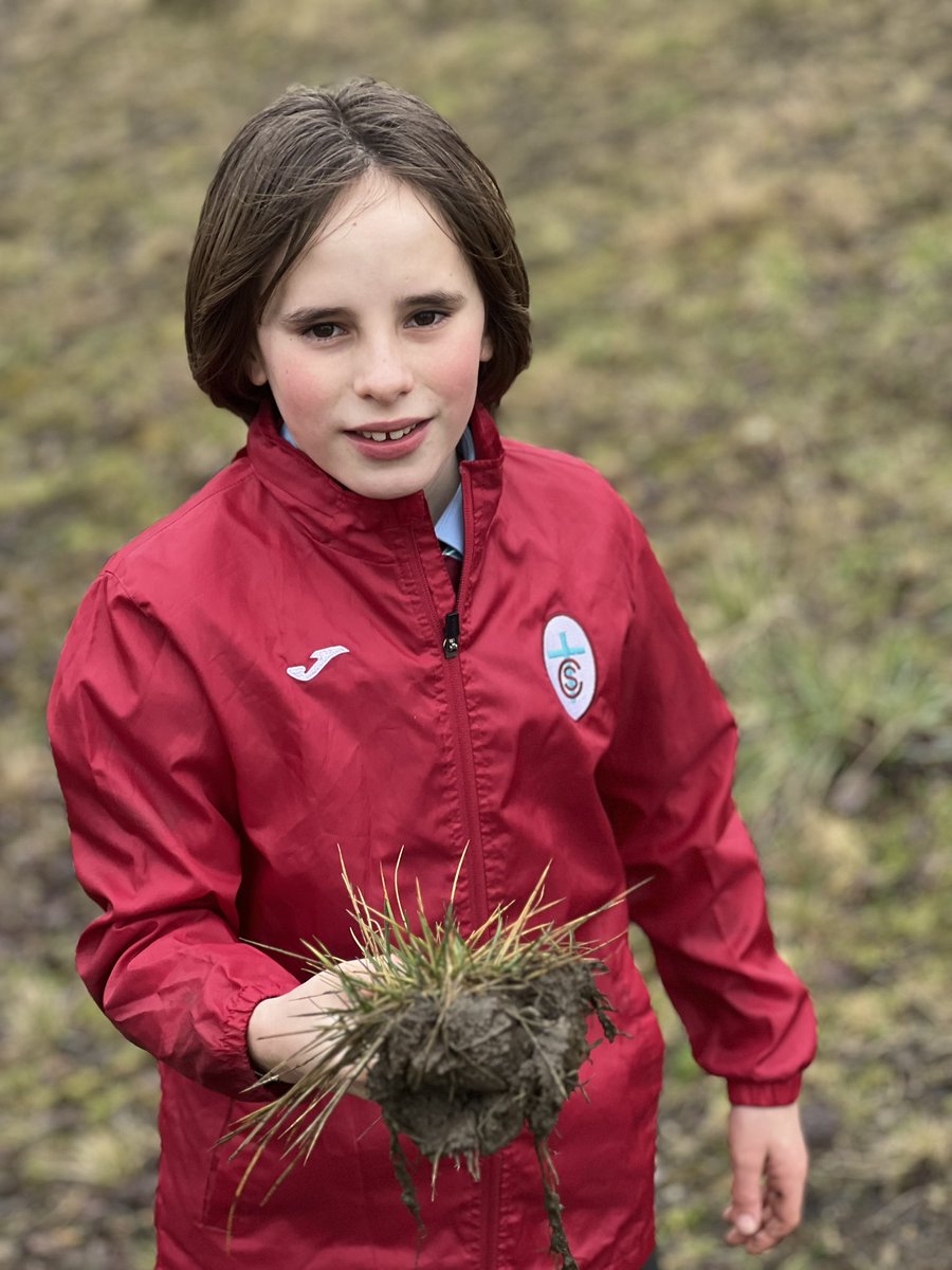 StCharlesGla's tweet photo. Primary 7 were completing another activity from our #OutdoorLearningFramework this afternoon @ClaypitsLnr. They were trying to answer the question ‘When is a weed not a weed?’ They children used prior knowledge to help them decide and then used to @PictureThisAI app to confirm their decision. #BiodiversityAndInterdependence #OutdoorLearning #OurCityIsAClassroom