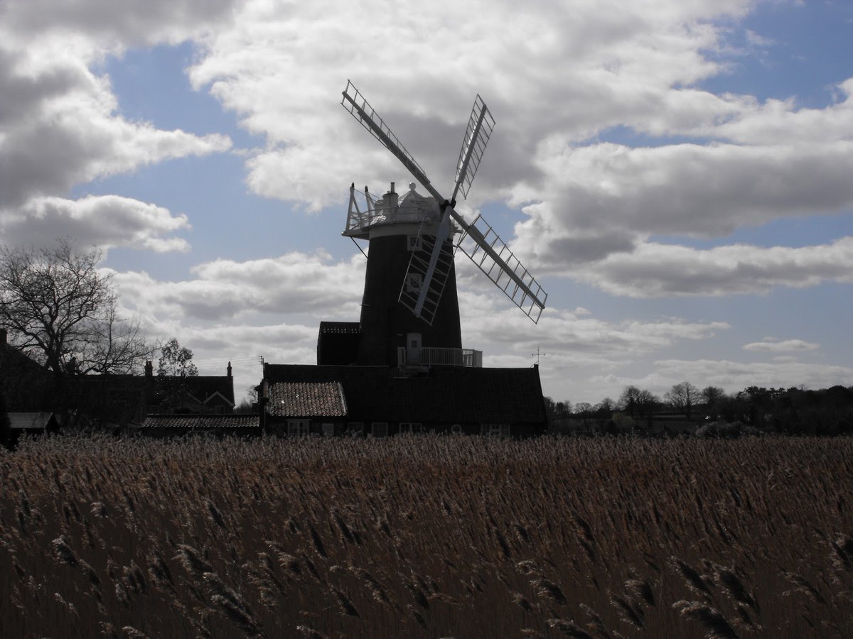 This Friday (1st March 2024) @wildnorfolk will be leading a walk around the perimeter of Cley NWT reserve focussing on birds. Meet in the visitor centre car park at 10:30 (norfolknaturalists.org.uk/wp/events-page…)