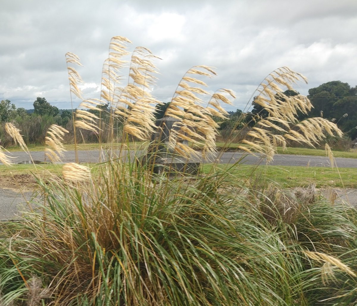 duffilled's tweet image. An almost-hidden obelisk marking the spot where the final spike was pounded in 1908 to connect the railway work north from Wellington and the work south from Auckland, completing the line and reducing the journey from 3 days to 14 hours. #NorthernExplorer