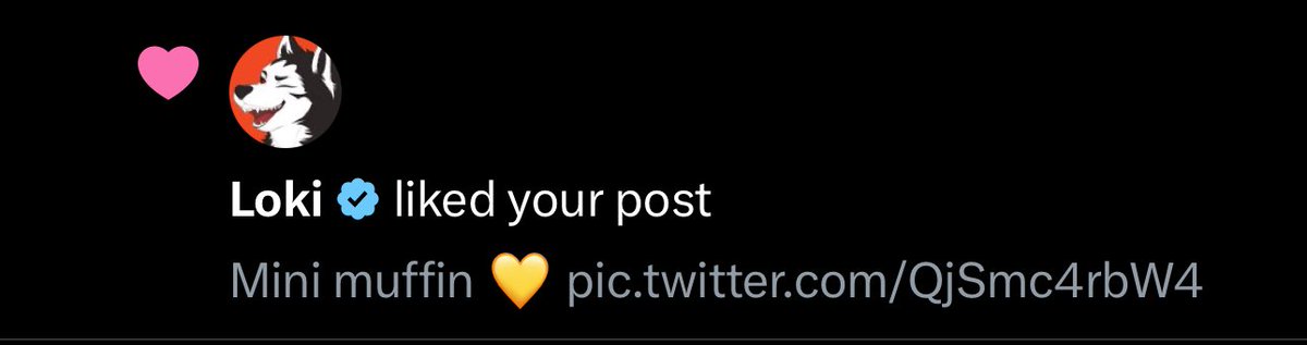 SnackMuffinSFW's tweet photo. Ahhhh ;w; he likes my mini muffin https://t.co/BEgvTrkprk