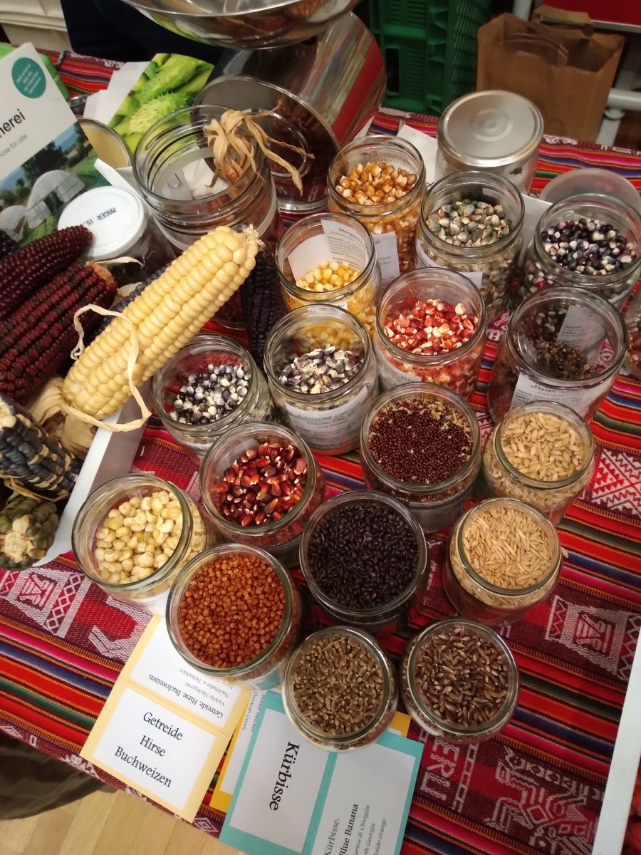 Beans and Herbs tweet media