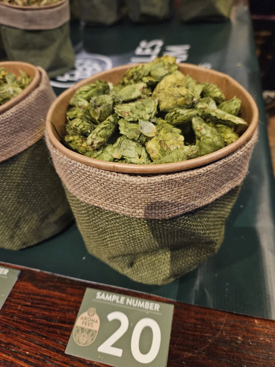 Great evening <a href="/BennetsBar8/">Bennets Bar</a> for <a href="/CharlesFaram/">Charles Faram</a> Aromafest hosted by @FaramBeth and <a href="/FaramPaul/">Paul Corbett</a>. Looks like there are plenty of exciting new varieties coming down the line - especially those Harlequin derivatives. Looking forward to trying them in a brew some day!