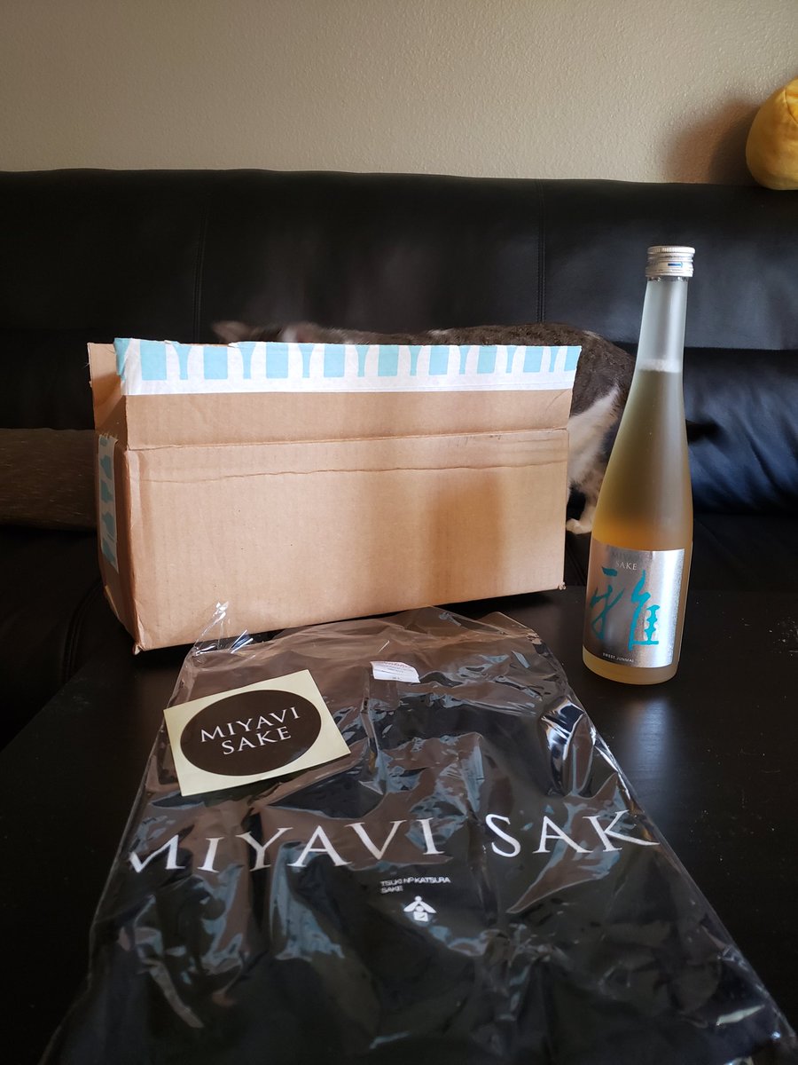 GENKIstarKID's tweet photo. Wooooo! Got my #miyavisake sweet in today along with Free TShirt! (Mivi the cat not included) Gosh...do I party now or save it for a special occasion 🤔
#Miyavi #MiviTheCat #Myv #Sake #TippsySake https://t.co/GxihUOMgn0