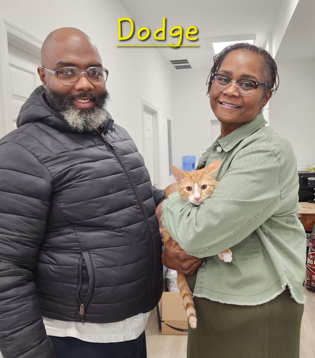 "Get out of dodge?" More like Dodge got out of the shelter and into his new loving home! Baywater gives the old saying a new meaning with this adoption. It is bittersweet to watch our beloved rescues leave us, but we couldn't be happier for their bright futures.