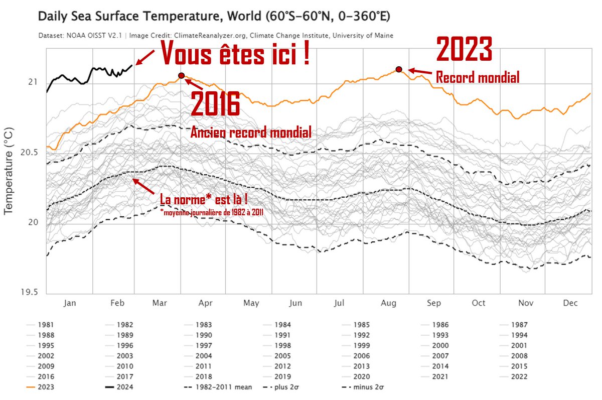 Inlassablement et en silence, la température de nos océans continue de battre ses records absolus. Aujourd'hui signe (encore) un nouveau record mondial de température. L'Atlantique ne fait pas exception. Ce qui pourrait expliquer cette humidité excessive apportée par les rivières