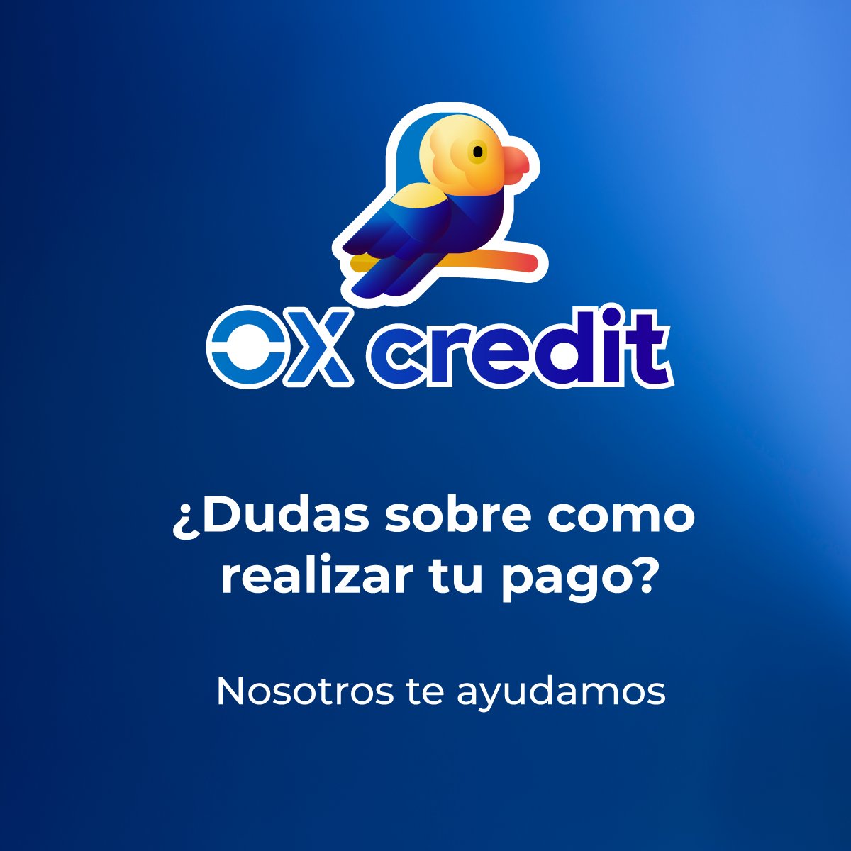 solcelmix's tweet photo. ¿Cómo pagar tu crédito de OX Credit? Si todavia no encuentras como realizar el pago de tu crédito en OX Credit, aqui lo tenemos para ti. 🦜  Web🌐:  https://t.co/csfQ84rz5S

#Solcelmix #SolcelmixAliados #OXCredit #CelularesACrédito https://t.co/DjNTBucdlg