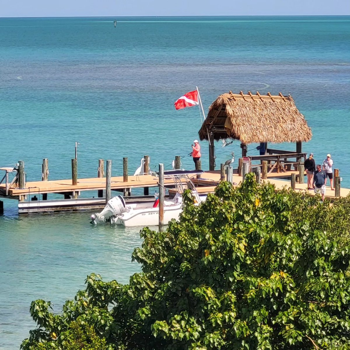 GregCKL's tweet photo. Day #4
A Hstory lesson at Pigeon Key.
A small 5-acre island which was a work camp for the Florida East Coast Railway.
During the building of Henry Flagler's Overseas Railroad Key West Extension between 1908 and 1912, there were at times as many as 400 workers #onlyinthekeys https://t.co/HyTpRH9DKn