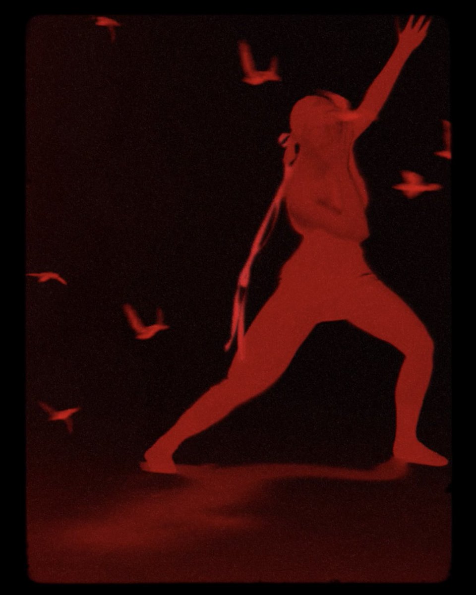 Screenshots from recent video work I directed, shot, edited 🎥