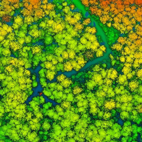 🔍#DataDiscovery | Drone Lidar Data from TERN plots across Australia A collection of drone #lidar data from TERN plots. The aim of these surveys is to capture vegetation structure, an important indicator of aboveground biomass & #carbon storage. 📊: portal.tern.org.au/metadata/TERN/…