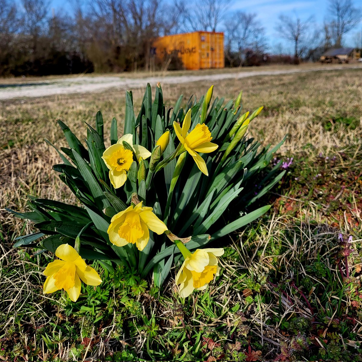 We received the first 6 garden beds today to begin our community food sovereignty project. If you have a wireless drill and would like to help us assemble them, we'll be out at Flat Rock this Saturday. You don't have to be a member to help, and we'd love to see you!