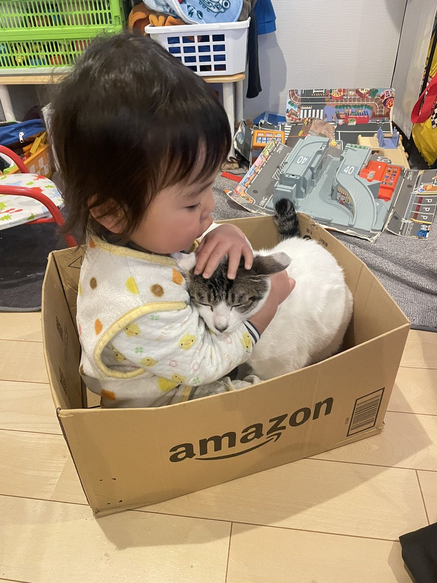 Post by ゴンゾウR4 on X: 箱入り息子達