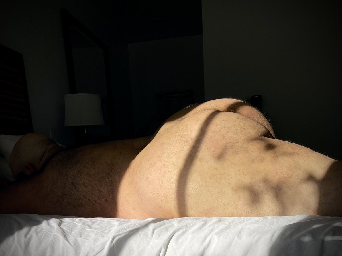 wholesalebeef's tweet photo. Happy All Humps Day https://t.co/INnFW1Uxni