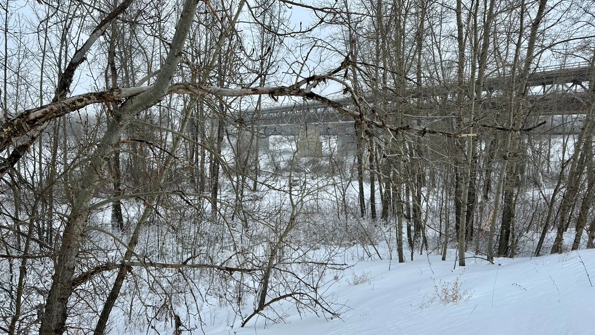 Meet Kristine Archibald with @RiverValleyPark. She was showing us around the new pedestrian bridge connecting @CityFortSask to @SturgeonCounty. We've got more on the @TCTrail & winter hikes this week on #OurYEG on Saturday at 10 a.m. & Sunday at noon on #cbc📺TV & @cbcgem. #yeg