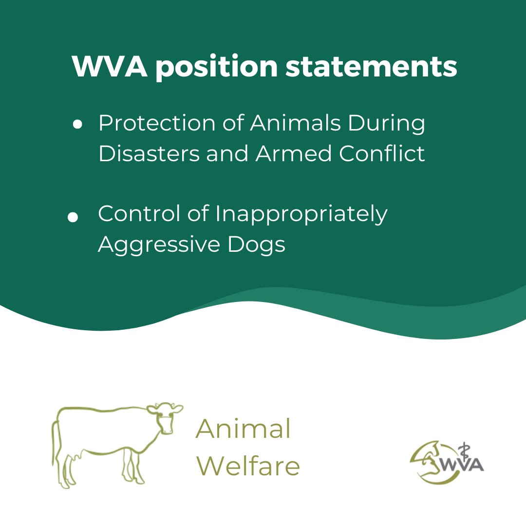 📌The WVA Working Group on Animal Welfare released 2 Position Statements: ‘Protection of Animals During Disasters and Armed Conflict‘ & ‘Control of Inappropriately Aggressive Dogs‘.
Read here: worldvet.org/policies-categ…
#AnimalWelfare
#armedconflict
#naturaldisasters
#aggressivedogs