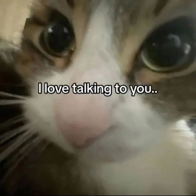 Punch Cat (@punchingcat) on Twitter photo 