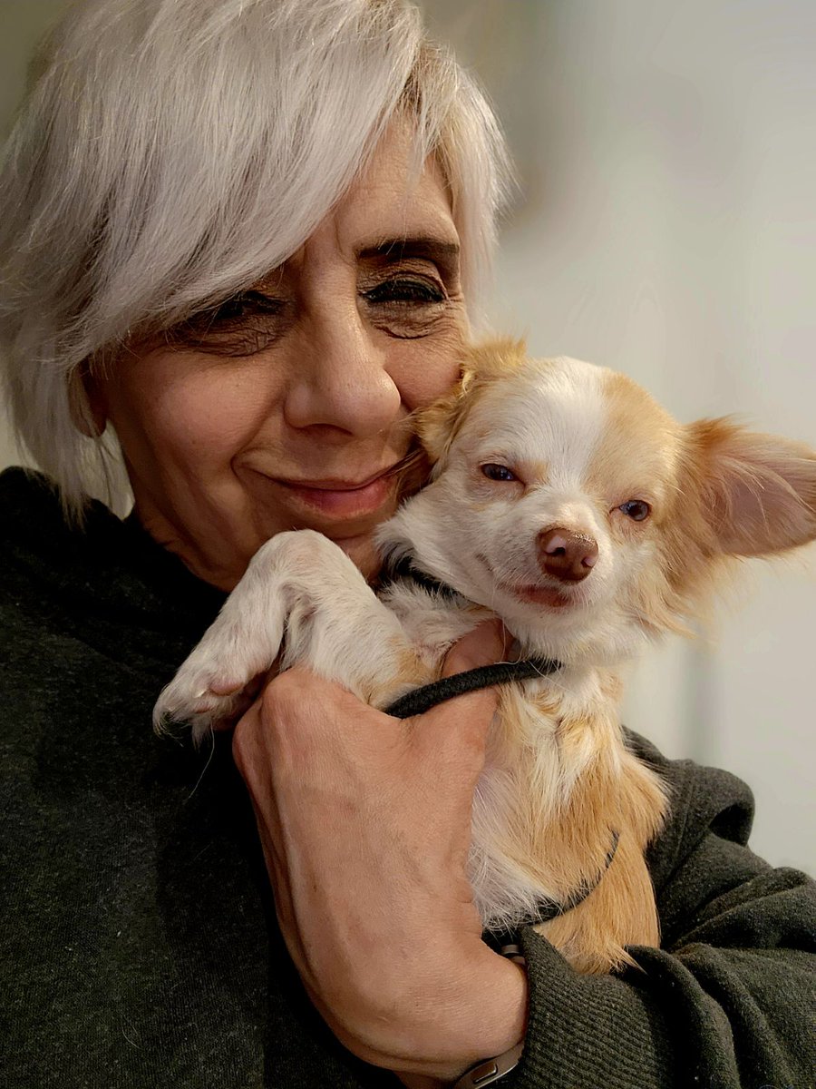 Oh Pickles... did you hit the jackpot or what!? This sweet boy did not stay at Baywater long. Our staff member Tabbie fell in love and the rest is history. We are so happy for you sweet Pickles.