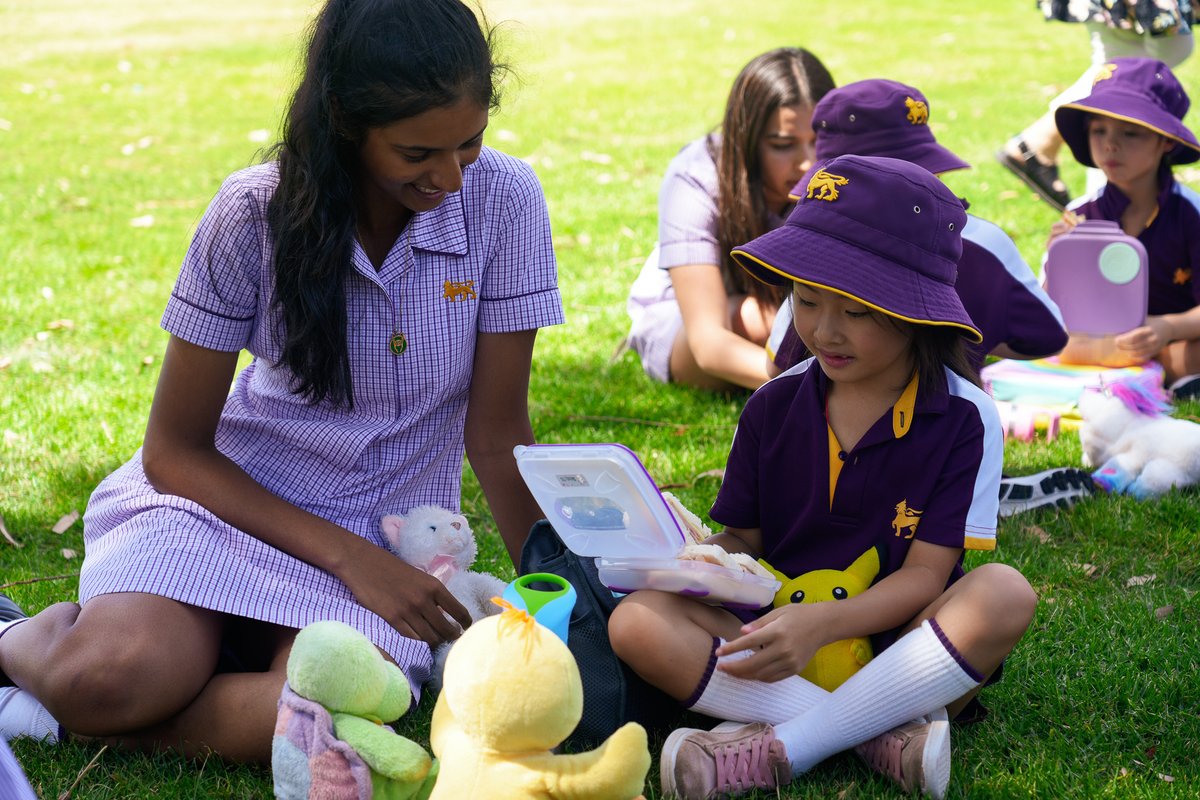 With lots of marvellous things to eat and wonderful games to play, our students and their teddy bears enjoyed a picnic at our Glen Waverley Campus last week, bringing together our Junior School and Year 12 students.