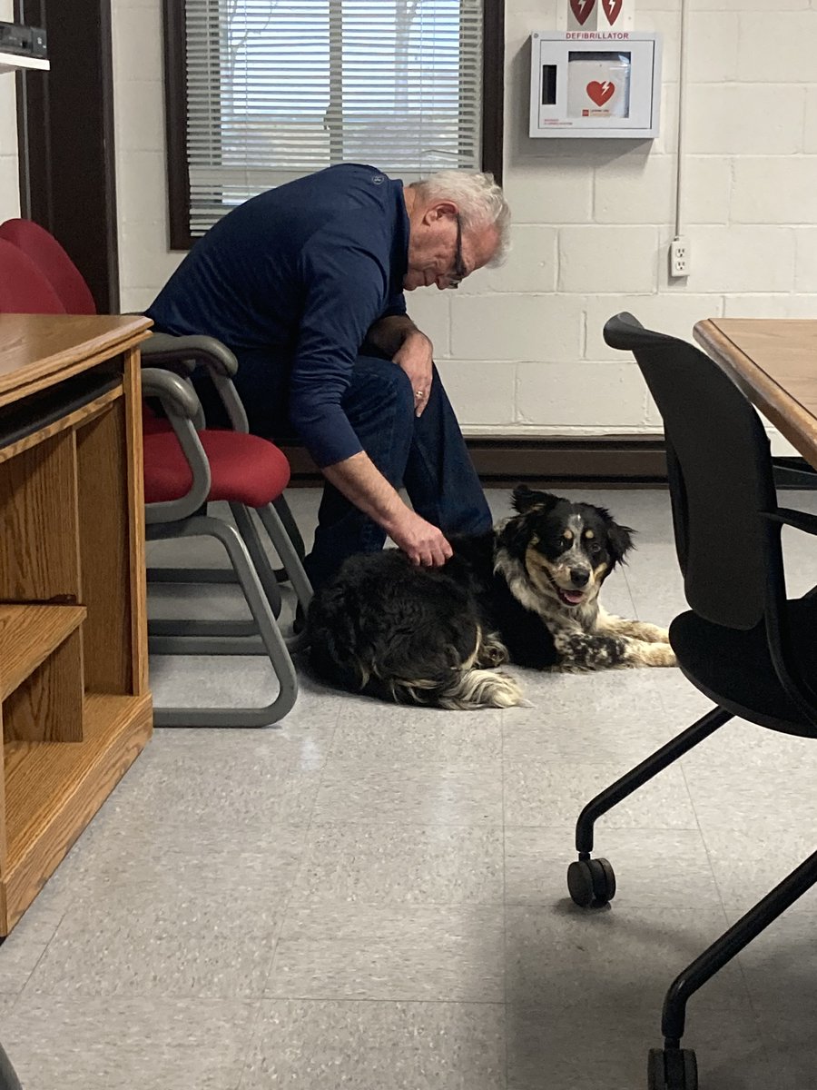 VaDOTNOVA's tweet photo. Ruby (yes, we named her) has been hanging around the I-395/I-95 Dale City Maintenance Yard for the past couple weeks, but Doug finally earned her trust today so that she could be rescued 😍
#DogRescue #KindnessMatters #PetsOfVDOT https://t.co/El82BQBuJx