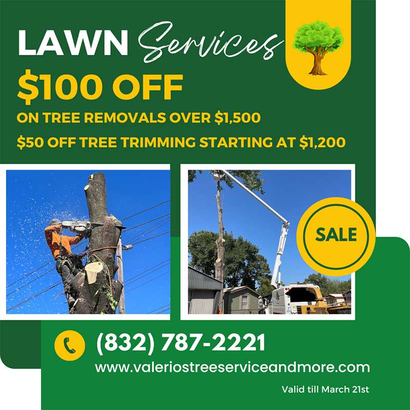 Valerio’s Tree Serice & More (@valeriotreeserv) / Posts / X