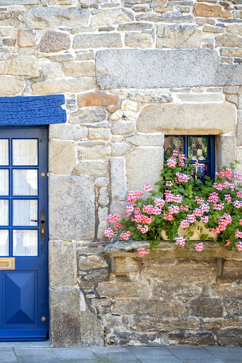 A French Collection tweet media