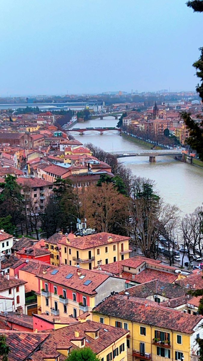 عاليه العصيمي ☔️ tweet media