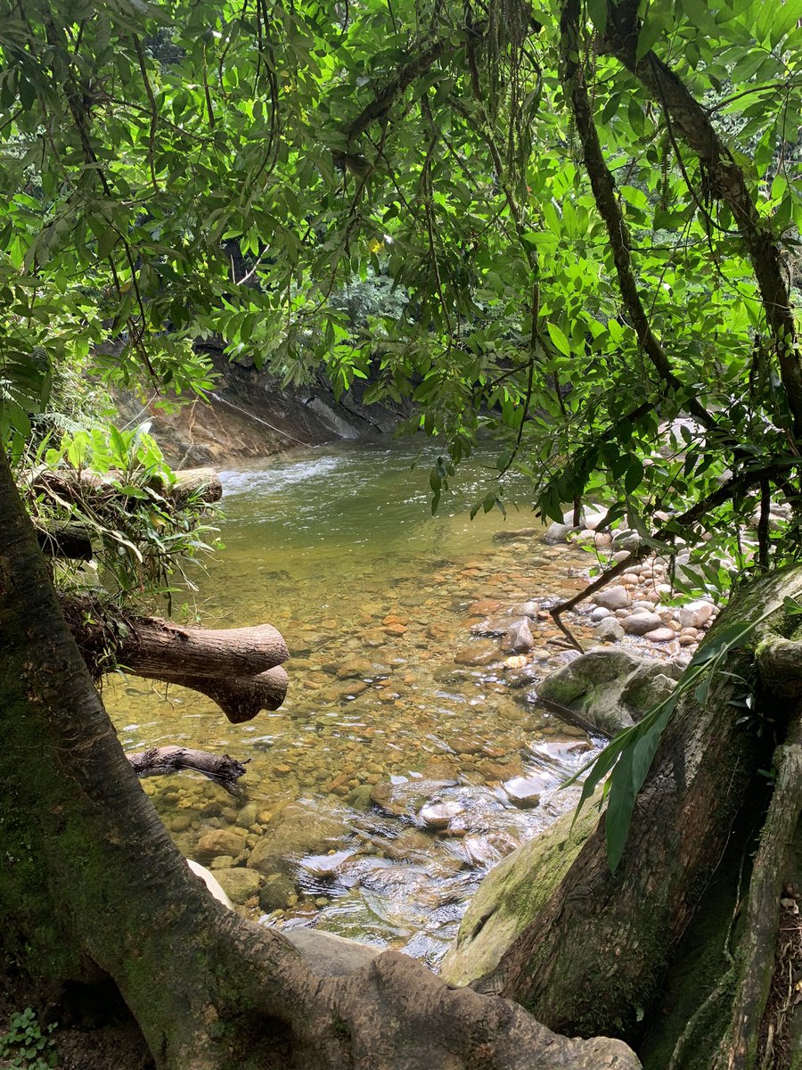 bybucker's tweet photo. Cachoeira 
.
#bulge #NatureBeautiful https://t.co/ykzrwUdKuU