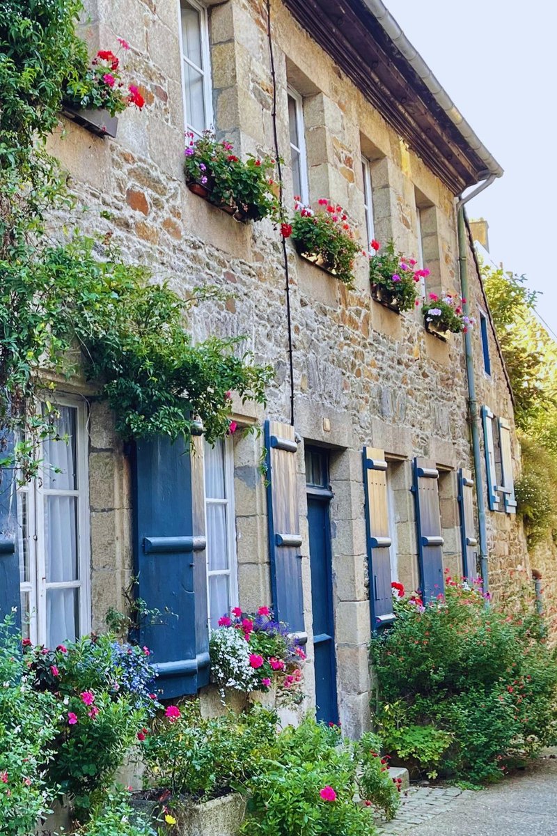 A French Collection tweet media
