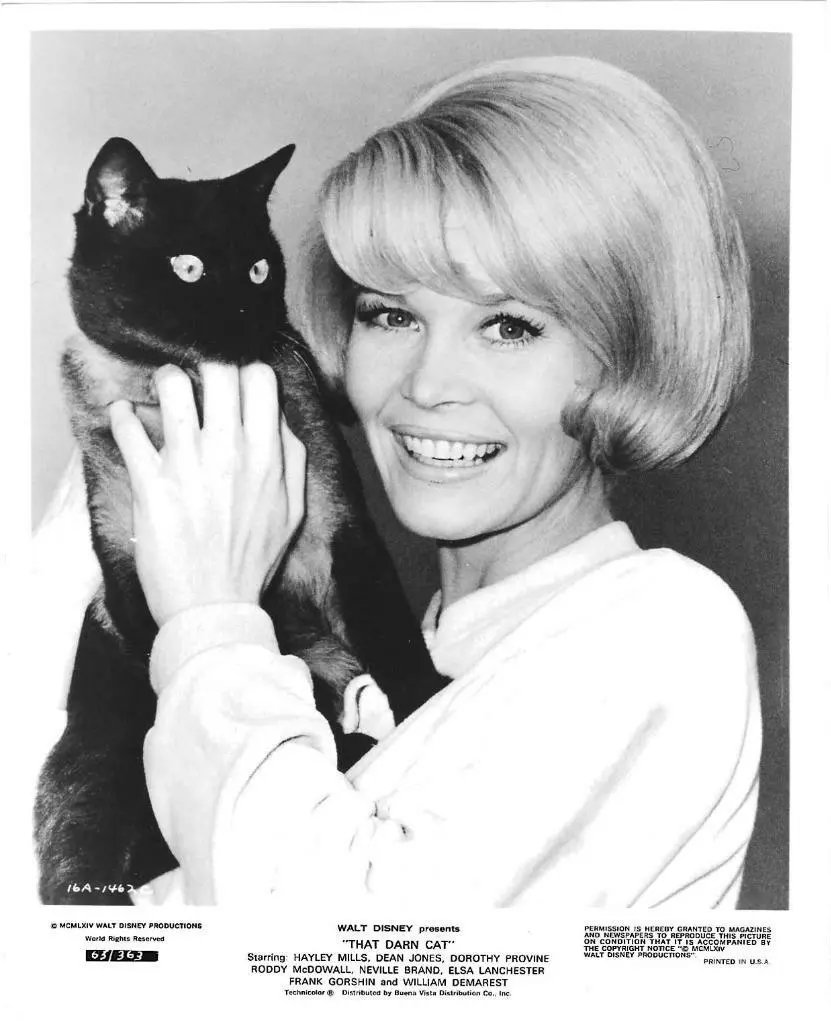 Dorothy Provine 'That Darn Cat:
#DorothyProvine
#ThatDarnCat
