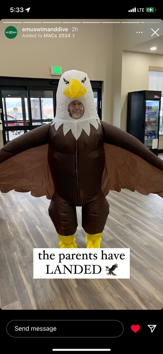 Michelle Shoen tweet media