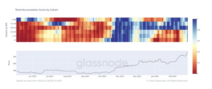 Bitcoin Trend Accumulation Score