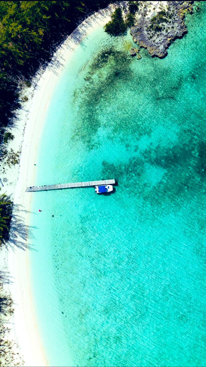 Exuma Secrets tweet media