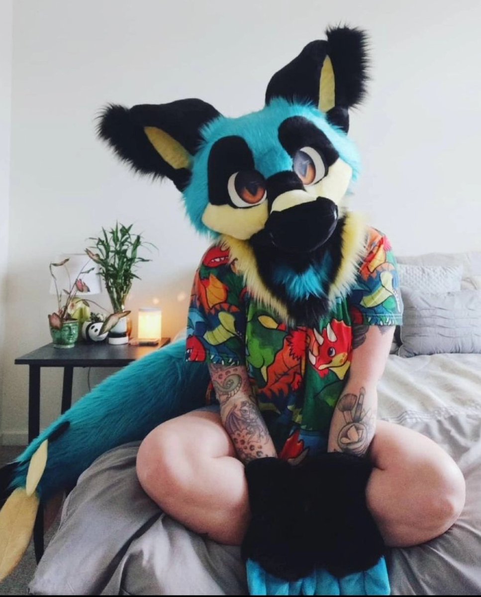 inky_bat's tweet photo. **PLEASE SHARE** LOST/STOLEN FURSUIT!!!!
PLEASE BE ON THE LOOKOUT FOR THIS SUIT ANYWHERE AND ON ANY PLATFORMS OTHER THAN MINE
Due to Legality Reasons, I can not go into further detail at this time, but if you see this suit, please message me directly. Around the Tampa/Miami area https://t.co/PtFtIl9GqU