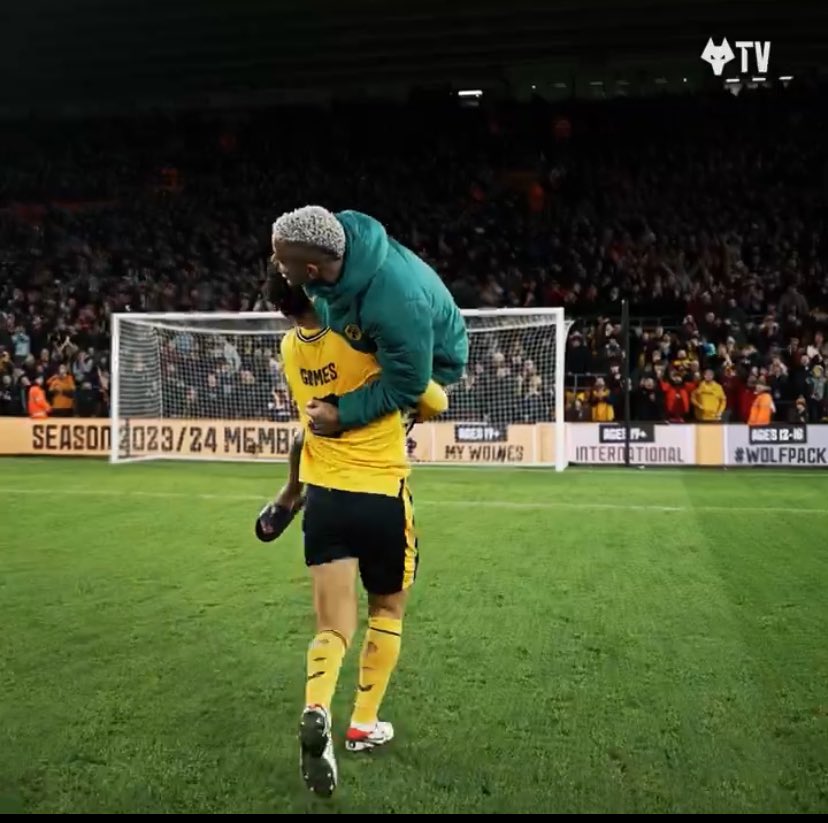 Cape Cod Wolves tweet media