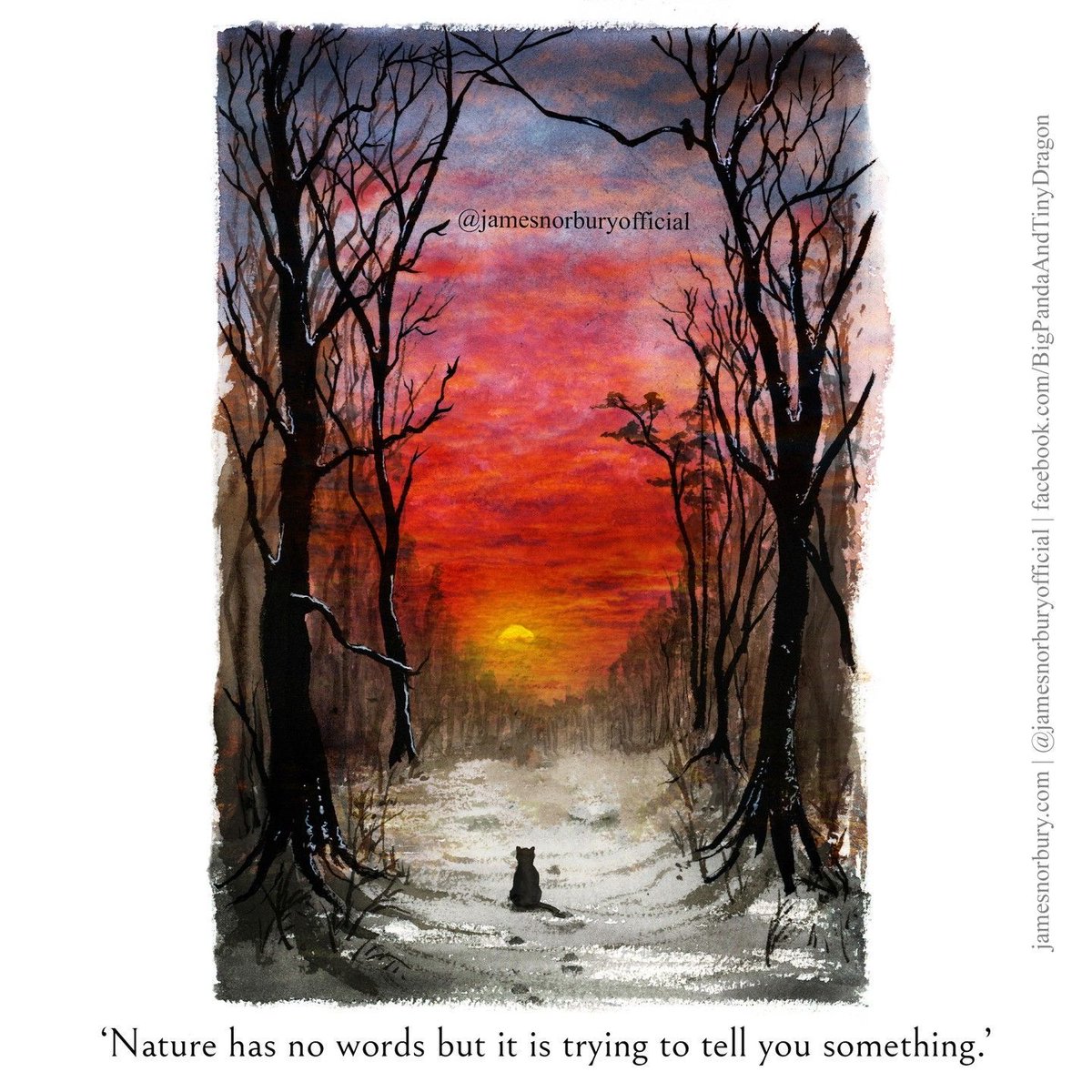 Nature has no words but it is trying to tell you something.

Artwork by James Norbury
