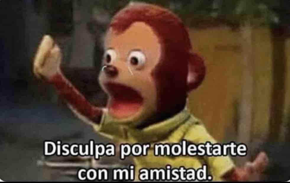 El Guarromántico tweet media
