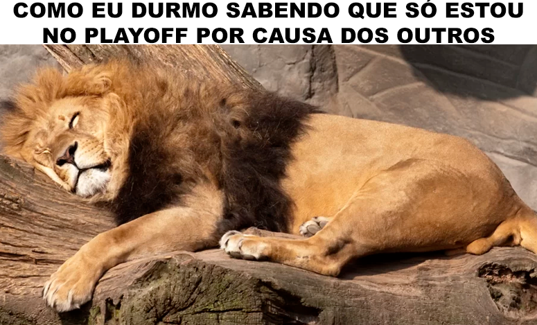 TTCR Insanos 🦁 tweet media