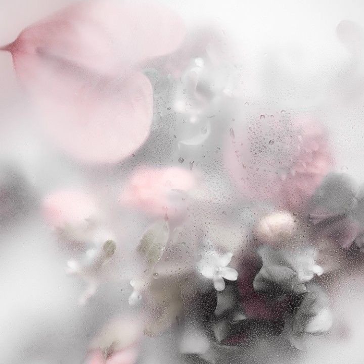 sunghoonte_amo's tweet photo. 💗   . Searching mutis    ̫ 
꒰  valentina┊she┊16┊🇦🇷 ꒱
#kpoptwt #stantwt

𓋜 ۪ Busco mutis para interactuar y flashear confianza⊹ ۪ ⑅ ˚
 ︴Prio: &amp;team y enhypen.
 ︴Hoon y Harua biased.
 ︴Acepto cualquier fandom, mientras que no rebajen. 

ദ𝅄  fav + rt = mutis de cosaron. https://t.co/40kPS9HTy9