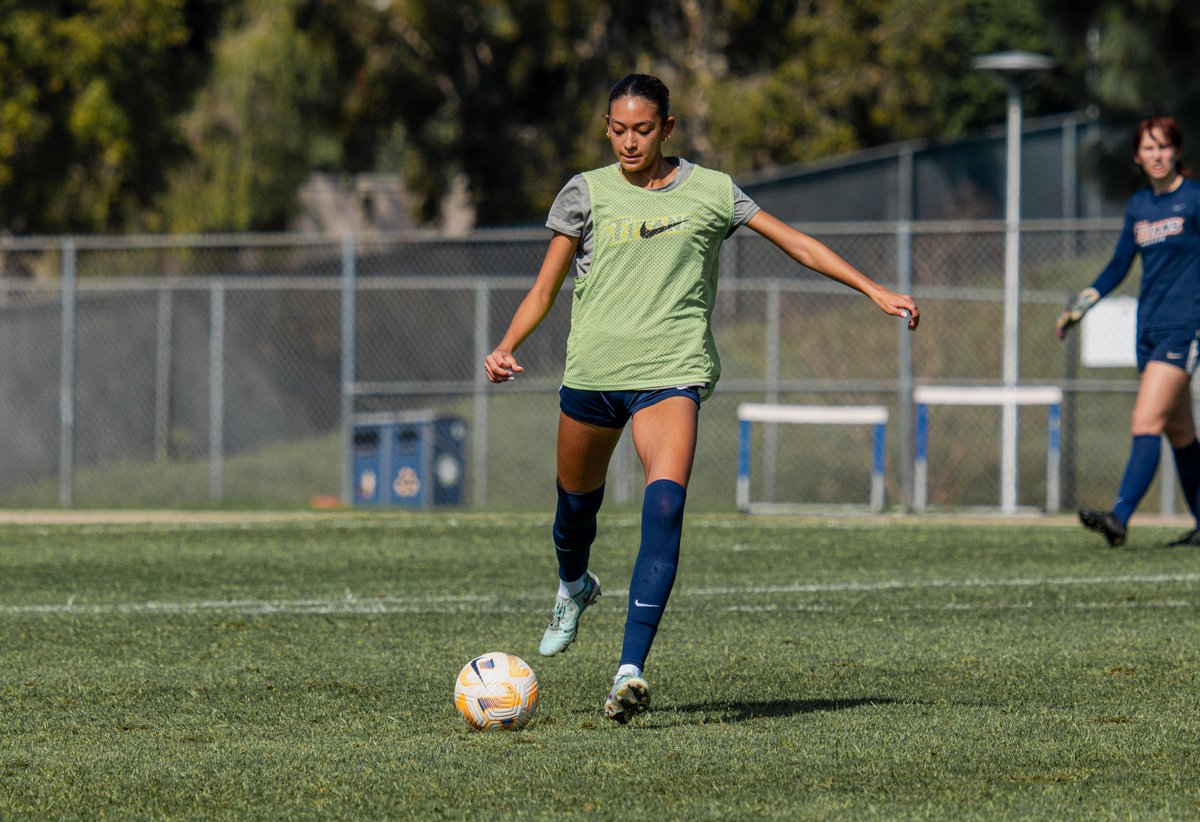 FullertonWSOC tweet picture