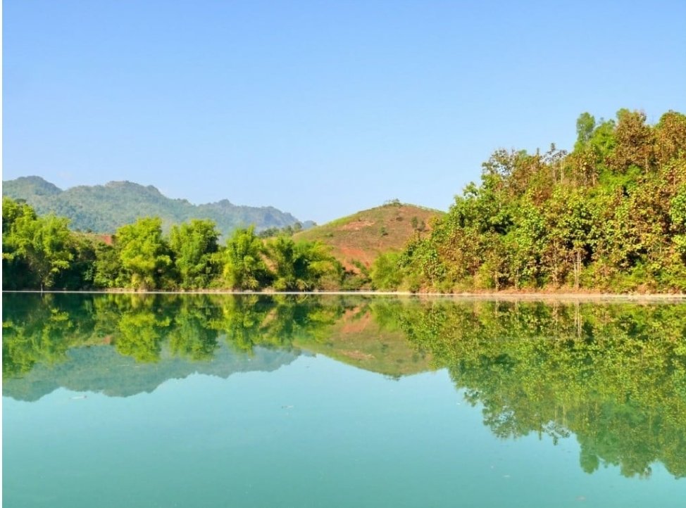 Thangnguyen.hp tweet media