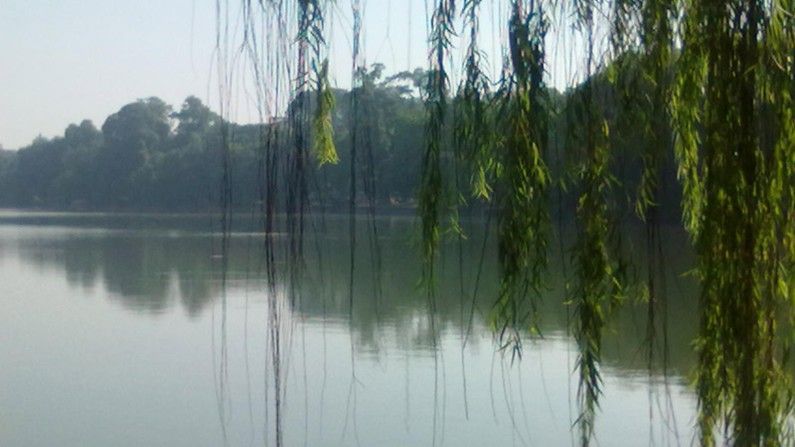 Thangnguyen.hp tweet media