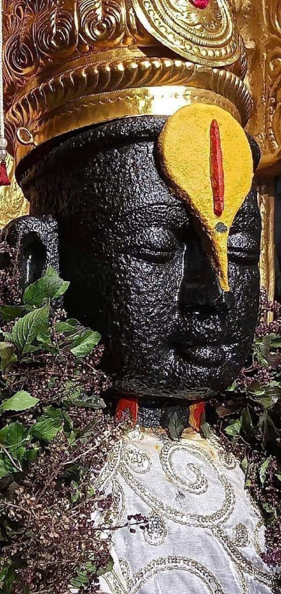 Sonali_S2's tweet photo. श्री हरि भगवान विष्णु के अलौकिक स्वर��प दर्शन https://t.co/1cpFrYsIsA