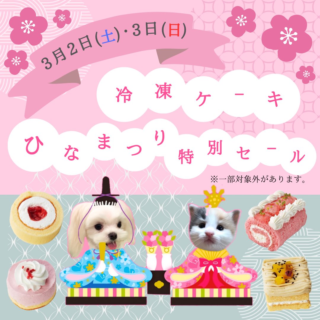 amigo_A40's tweet photo. わんにゃん用冷凍ケーキがお得プライスに！！！😳🍰💗
3月2日(土)・３日(日)はアミーゴ周南店へ！皆様のご来店お待ちしております🐾🎵
#犬 #猫 #冷凍ケーキ #ひな祭り #セール #山口県 #周南市 #ペットショップ #アミーゴ https://t.co/hCznziyxXH