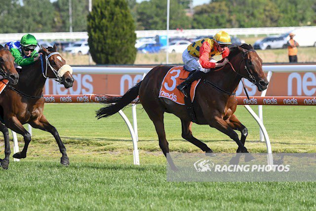 Rohan Hughes (@rohanjhughes) on Twitter photo Rose Quartz was a larger than life personality and a very good Racehorse. Her loss is very deeply felt by myself, her owners and all close to her. Thanks to <a href="/Grahame_Begg/">Grahame Begg Racing</a> and all the team who looked after and prepared her and <a href="/millparkstud/">Mill Park Stud</a> who bred such a beautiful animal. Vale! Rose Quartz was a larger than life personality and a very good Racehorse. Her loss is very deeply felt by myself, her owners and all close to her. Thanks to <a href="/Grahame_Begg/">Grahame Begg Racing</a> and all the team who looked after and prepared her and <a href="/millparkstud/">Mill Park Stud</a> who bred such a beautiful animal. Vale!