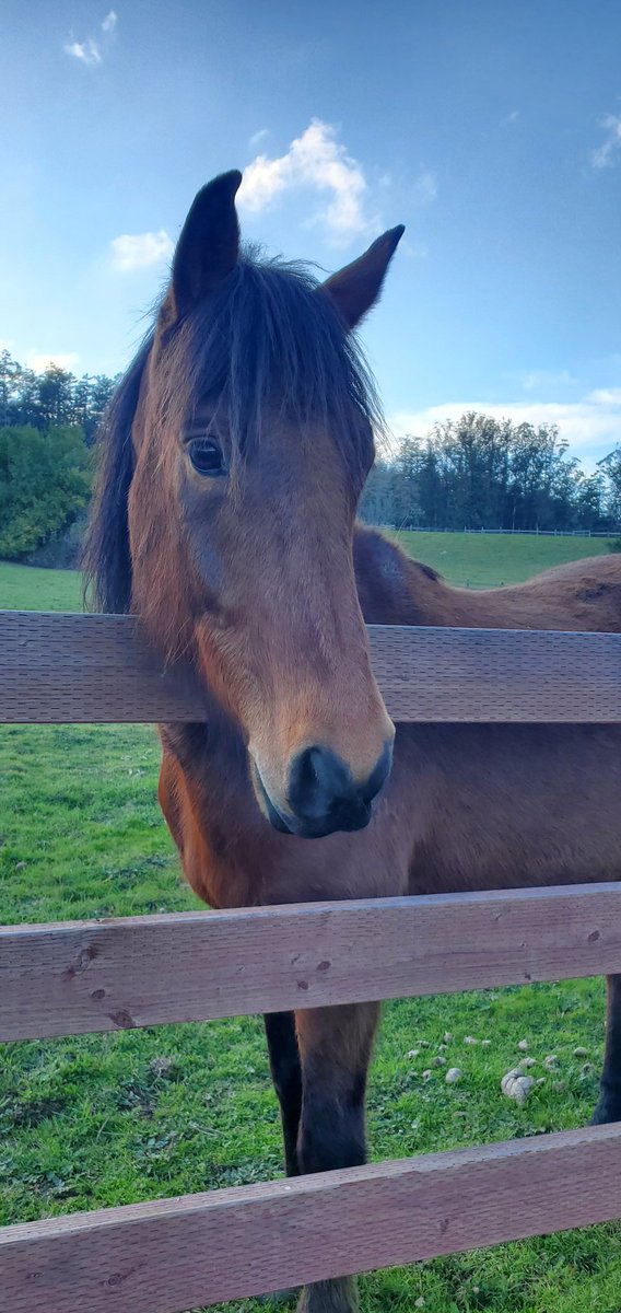 I only got eyes for you