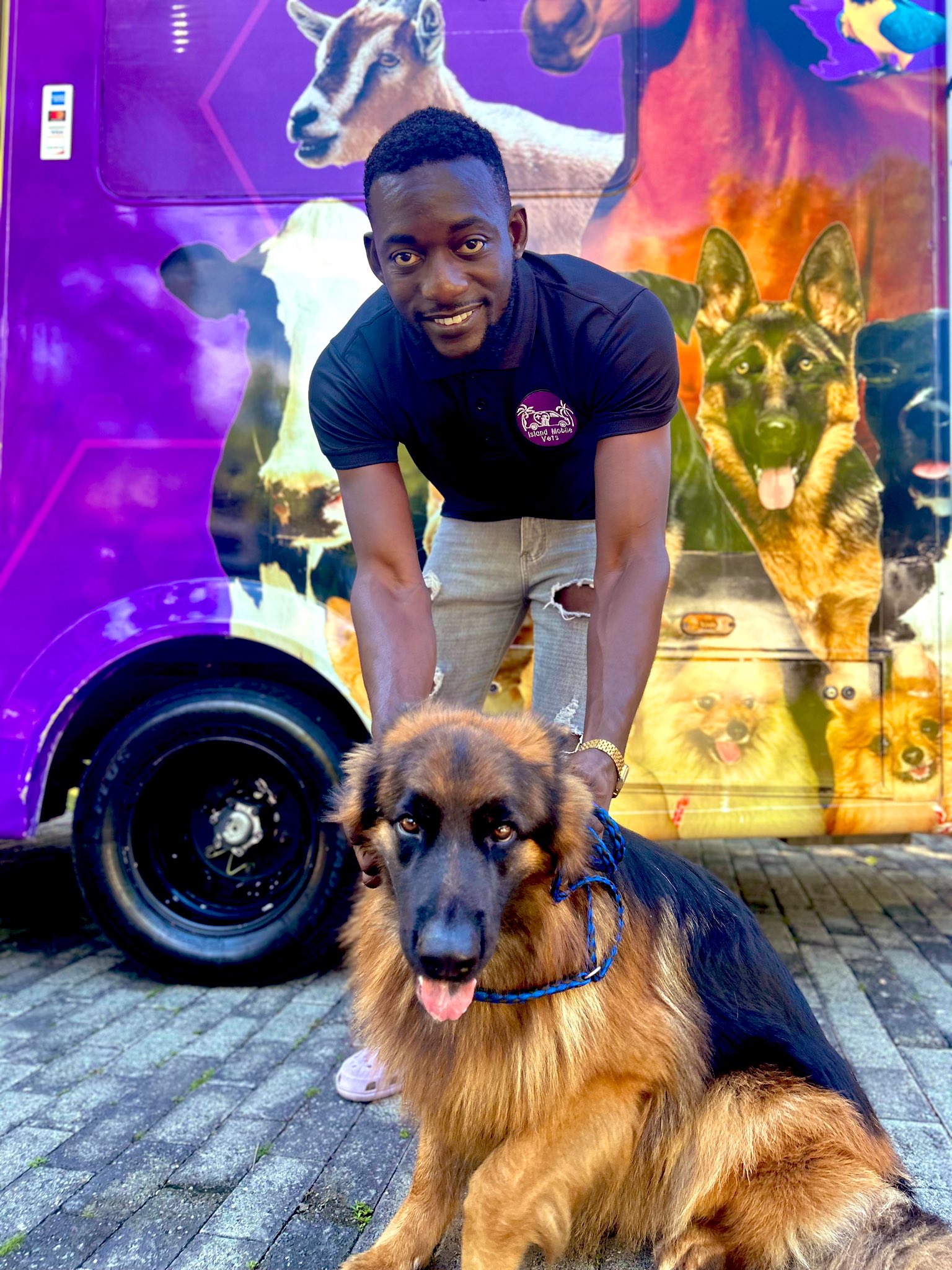 Giant long haired german shepherd hot sale