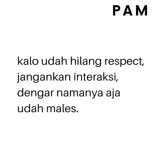 P A M tweet media
