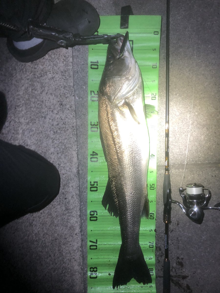 Masabo1202's tweet photo. 爆風ランカー
今年5本目

#DAIWA

#ヒソカ120F

#BRANZINOEXAGS94LML

#EXIST
#LT4000XH https://t.co/X5dllX6Mfj